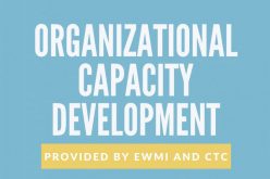 ორგანიზაციული განვითარების მხარდაჭერის პროგრამა არასამთავრობო ორგანიზაციებისთვის