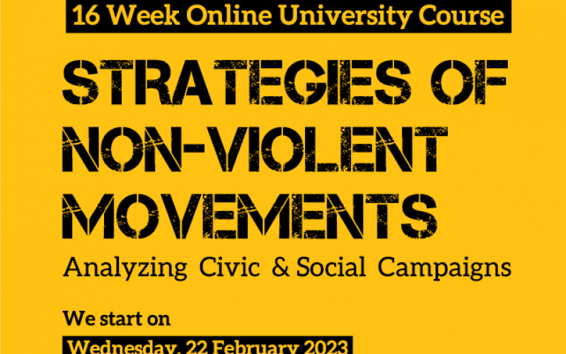 საუნივერსიტეტო ონლაინ კურსი – „არაძალადობრივი მოძრაობების სტრატეგიები – სამოქალაქო და სოციალური კამპანიების ანალიზი“